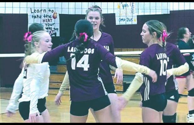 THORNDALE LADY DOGS VOLLEYBALL