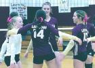 THORNDALE LADY DOGS VOLLEYBALL